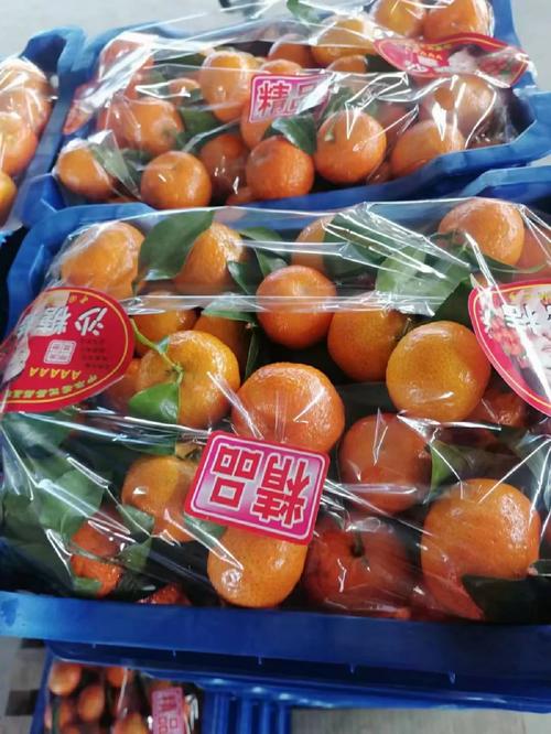團(tuán)購(gòu)風(fēng)口下，我只想守住舌尖上的底線