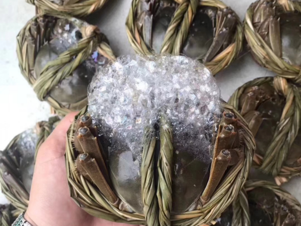 響水縣廣本水產(chǎn)品門(mén)市部 高端海鮮團(tuán)購(gòu)，鮮動(dòng)全城的品質(zhì)之選